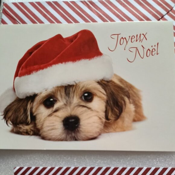 🎄🐶8 Dogs Puppy Christmas Greeting French cards + matching envelopes - Picture 2 of 8